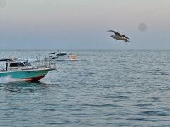 -星海广场