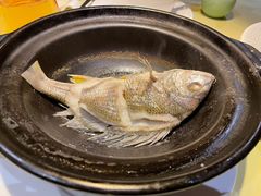 油盐焗海立鱼-百味馆·粤菜·湛江菜(后海花园店)
