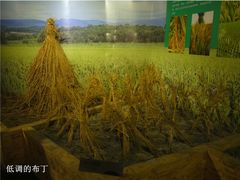 中国湿地博物馆-中国湿地博物馆
