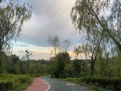 -灞河西岸滨河公园