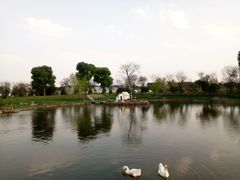 -鹅湖玫瑰文化园