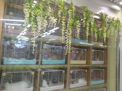 -宠物兔专门店(天丰利市场店)