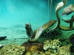 -泉州海丝野生动物世界