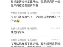 -艾贝尔宠物诊疗