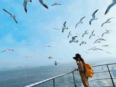 -海驴岛(荣成市)
