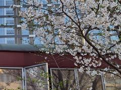 -新天地活力PARK