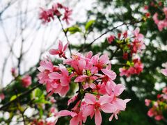 -文华公园(禅城区)