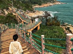 -广东惠东海龟国家级自然保护区
