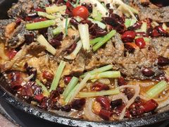 -老板恋上鱼(印象城店)