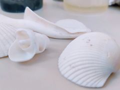 -奈雪的茶(石厦时代广场店)