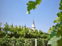 -北京张裕爱斐堡酒庄