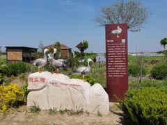 -南大港湿地风景区