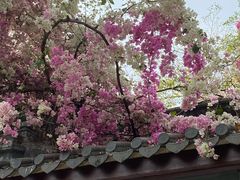 -深圳国际园林花卉博览园