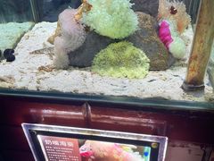 -太平洋海底世界