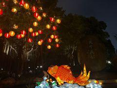 -中山公园
