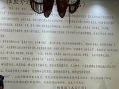 -干老四雅鱼饭店(滨江西路店)