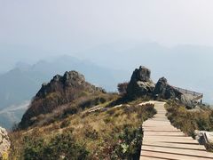 -白草畔自然风景区