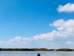 -上海海湾国家森林公园