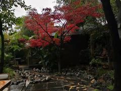 -乡村小榭饭店