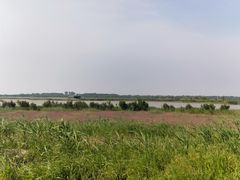 -盐城丹顶鹤湿地生态旅游区
