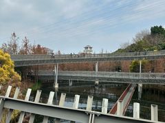 -福道
