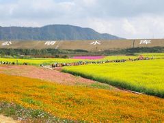-光明小镇欢乐田园
