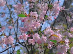 -龙美术馆(西岸馆)