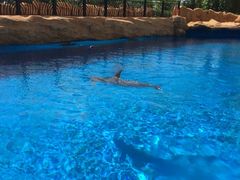 iphone_upload_pic-广东省拱北口岸中国旅行社(华宾营业部)