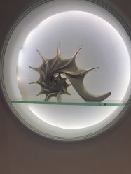 -顺德壹加壹美容医院
