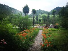 -仙居谷风景区