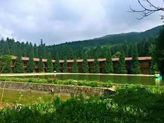 -武陵山森林公园