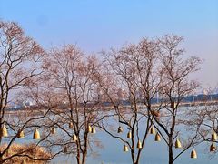 -omitofee咖啡(水泽店)