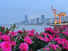 -龙美术馆西岸馆-停车场