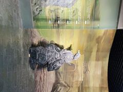 -重庆历史名人馆