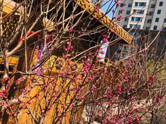 -满汉楼(江畔店)