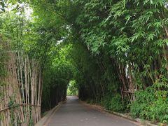-贵阳市花溪国家城市湿地公园