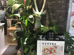 -茶理宜世(东方宝泰店)