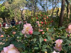 -深圳国际园林花卉博览园