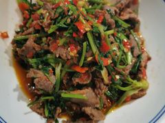 泡辣椒炒牛肉-壹盏灯(蚂蚁工房店)