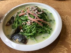 上汤豆苗-毛家饭店(拱北店)