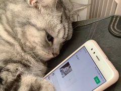 -鑫梦桌游谋杀之谜剧本杀俱乐部(联合商厦店)