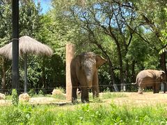 -北京野生动物园