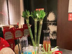 -小隐人家(乐松店)