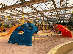 -南宫五洲植物乐园