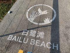-西昌邛海湿地