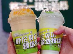 -茉酸奶(春熙路店)