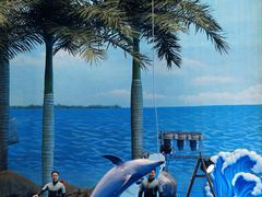 -海合安成都极地海洋公园