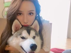 -Husky Go! 哈士奇体验馆·宠物咖啡厅狗咖