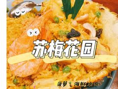 -苏梅花园(群星城店)