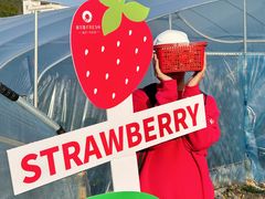 -菲尔雪CAKE(九方店)